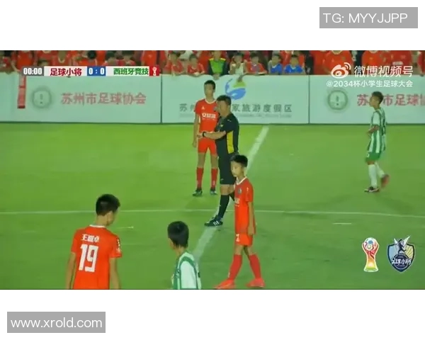 聚焦伯明翰足球球星成长故事与赛场荣耀展现热血与梦想